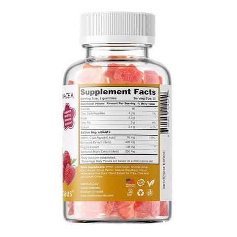 Apihaus, Propolis And Echinacea Kids Gummies Raspberry, 60 Count Apihaus