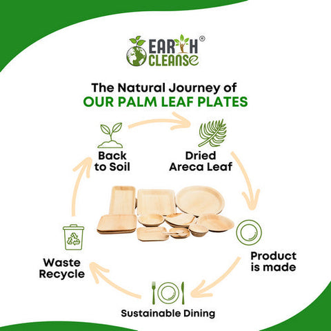 Earth Cleanse, Areca Palm Leaf Round Plates 12-Inch, Pack of 250 Earth Cleanse